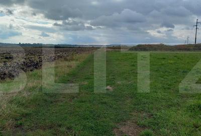 Blitz propune spre vanzare teren extravilan in Jucu 2877mp, front 15 ml