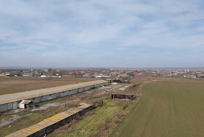 Teren de 4300 mp, în Sălcioara - 1