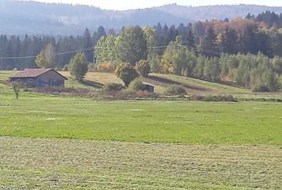 Teren extravilan de 9200 mp, în Băile Miercurea - 6