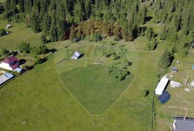 Teren 19,370mp Neagra Sarului / Strada ?estina - 8