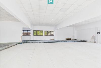 Spații Comerciale între 70 și 350 mp în Dumbrăvița - 8