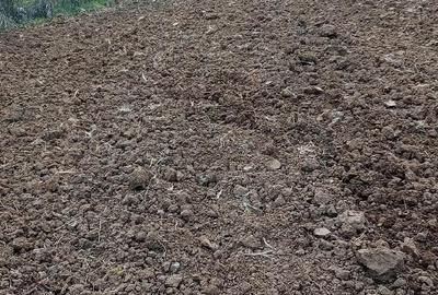 Teren de 2200 mp, în Paleu - 3