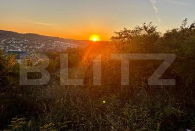 Teren intravilan in Zona Sarmas in suprafata de 1500 mp - 4