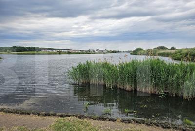 Teren de Vanzare - Lac Mogosoaia - 4