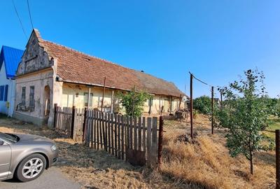 Teren cu livada si Casa veche in Șandra Teren cu livada si Casa veche in Șandra - 2
