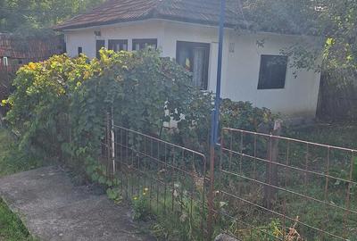 Casă cu Teren 850 Mp în Celnata - 1