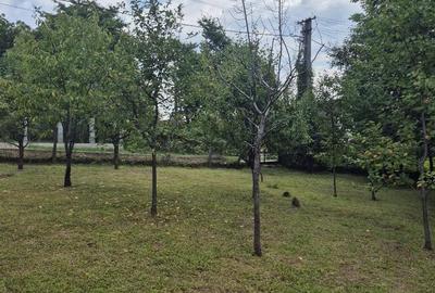 Casă cu 2 camere cu Teren 900 Mp în Șomcuta Mare