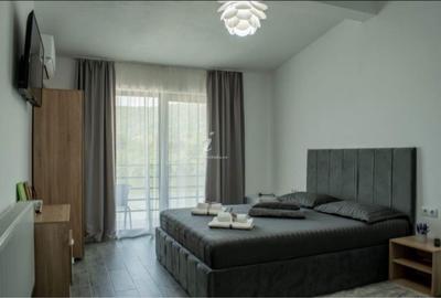 Spațiu comercial, de 256 mp, în Eșelnița - 1