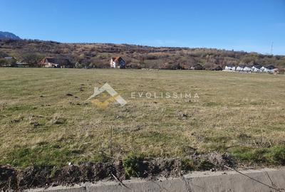 Teren Construcții intravilan de 10600 mp, în Bran - 4