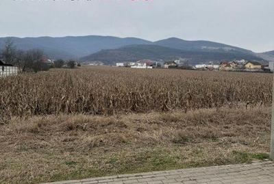 Spațiu comercial, în Micești - 3