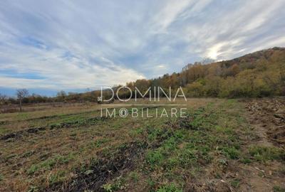 Teren intravilan, 4967 mp, utilita?i, sat Rasova, Bale? - 16