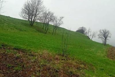 Teren de 3380 mp, în Șoimuș - 7