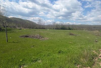Teren de 670 mp, în Săsenii Vechi - 6
