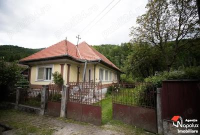 Casă cu 4 camere cu Teren 3100 Mp în Vale - 3