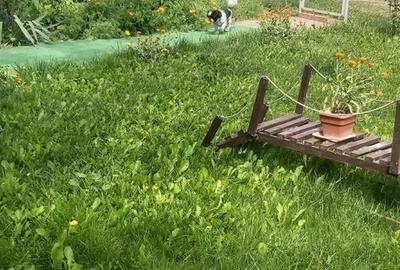 Casă cu 3 camere în Gorneni - 4