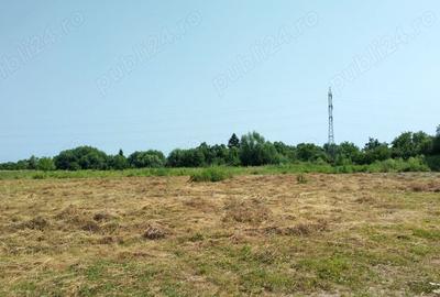 Teren de 3250 mp, în Kuncz - 4