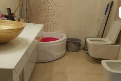 Casă individuală cu 10 camere cu Canalizare în Giurgiului - 5