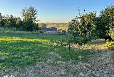 Casă cu 3 camere cu Teren 1439 Mp în Cadea - 1