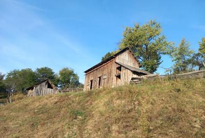 Casă cu 4 camere cu Teren 2500 Mp în Paltin - 2