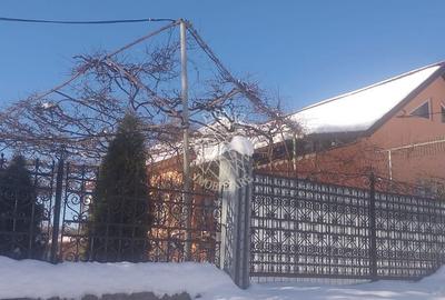 Casă cu 3 camere cu Teren 15000 Mp în Chiochiș - 3