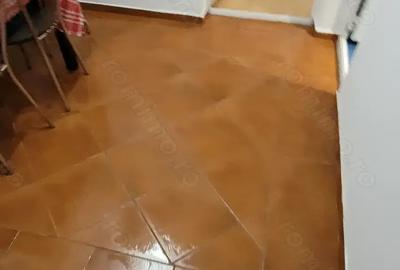 Apartament 2 camere Parter Baile Herculane - 7