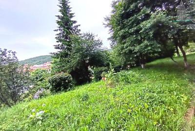 Apartament cochet, generos, gata de locuit, în zonă verde - Răcădău, Brașov - 21