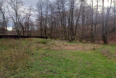 Resita, Teren Drept Intravilan, Langa Prau si Drum, 1308 Mp. - 13