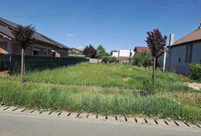 Teren de 700 mp, în Dumbrăvița - 1