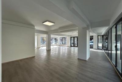 Elena Doamna-Bucsinescu Spatiu Comercial 483mp - 2