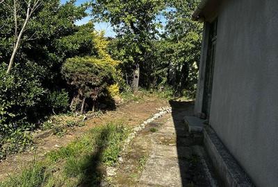 Casă cu 3 camere în Ghioroc - 3