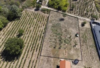 Oportunitate dezvoltare rezidentiala teren 2000 mp intravilan - 5