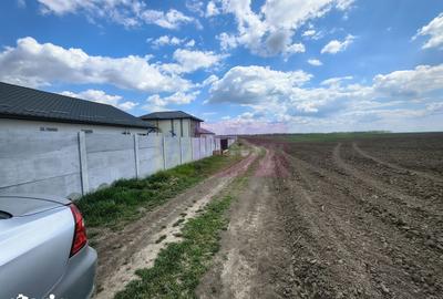 Teren de 3000 mp, în Cernica - 10