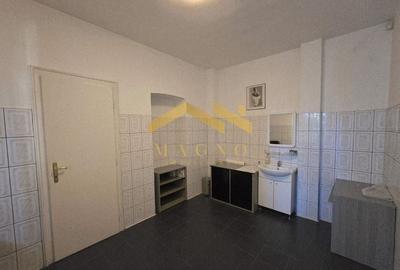 Apartament 4camere 167mp PARTER / Vasile Milea - 10