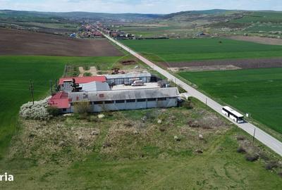 Teren de 8600 mp, în Iclod - 7