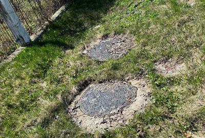 Casă cu 2 camere cu Teren 2125 Mp în Șcheia - 7