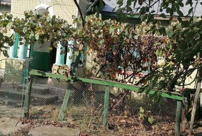 Casa cu anexe ?i teren - 6