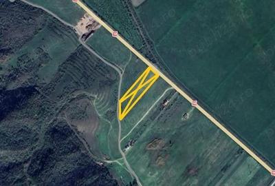 Teren intravilan de 10000 mp, în Cândești - 5