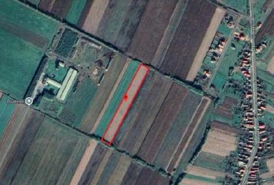Teren de 4350 mp, în Botiz - 5