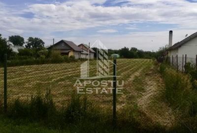 Teren de 3000 mp, în Uliuc - 2