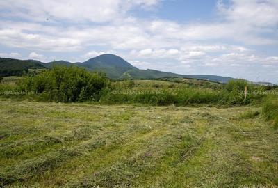 Teren 7500 mp cu potential turistic si rezidential Mina 1 mai - Vulcan Brasov - 9