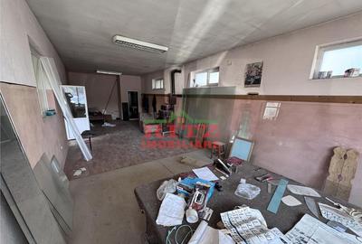 Nou! Sp. comercial P M, S=236 mp. teren 795 mp, zona T. Vlad - 2