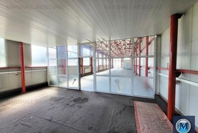 Spatiu industrial de vanzare, zona Exterior Sud, 200 mp #16054 - 4