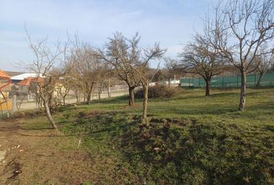 Spațiu comercial, în Colonia