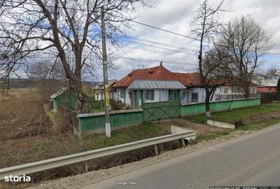 Casă cu 4 camere cu Teren 9000 Mp în Berești - 2