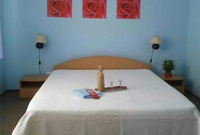 Casă cu 8 camere în Sânmartin - 10