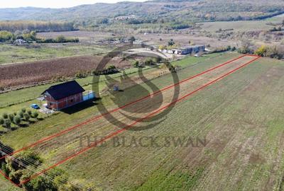 Teren de 3084 mp, în Plavia - 4