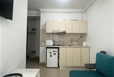 Apartament cu 2 camere semidecomandat, mobilat în Central - 4