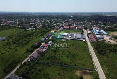 Teren Mogosoaia - PUZ aprobat pentru vile P+1E - 2