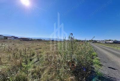 Teren de 2184 mp, în Turnișor - 3