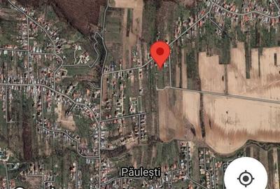 Teren de 2500 mp, în Păulești